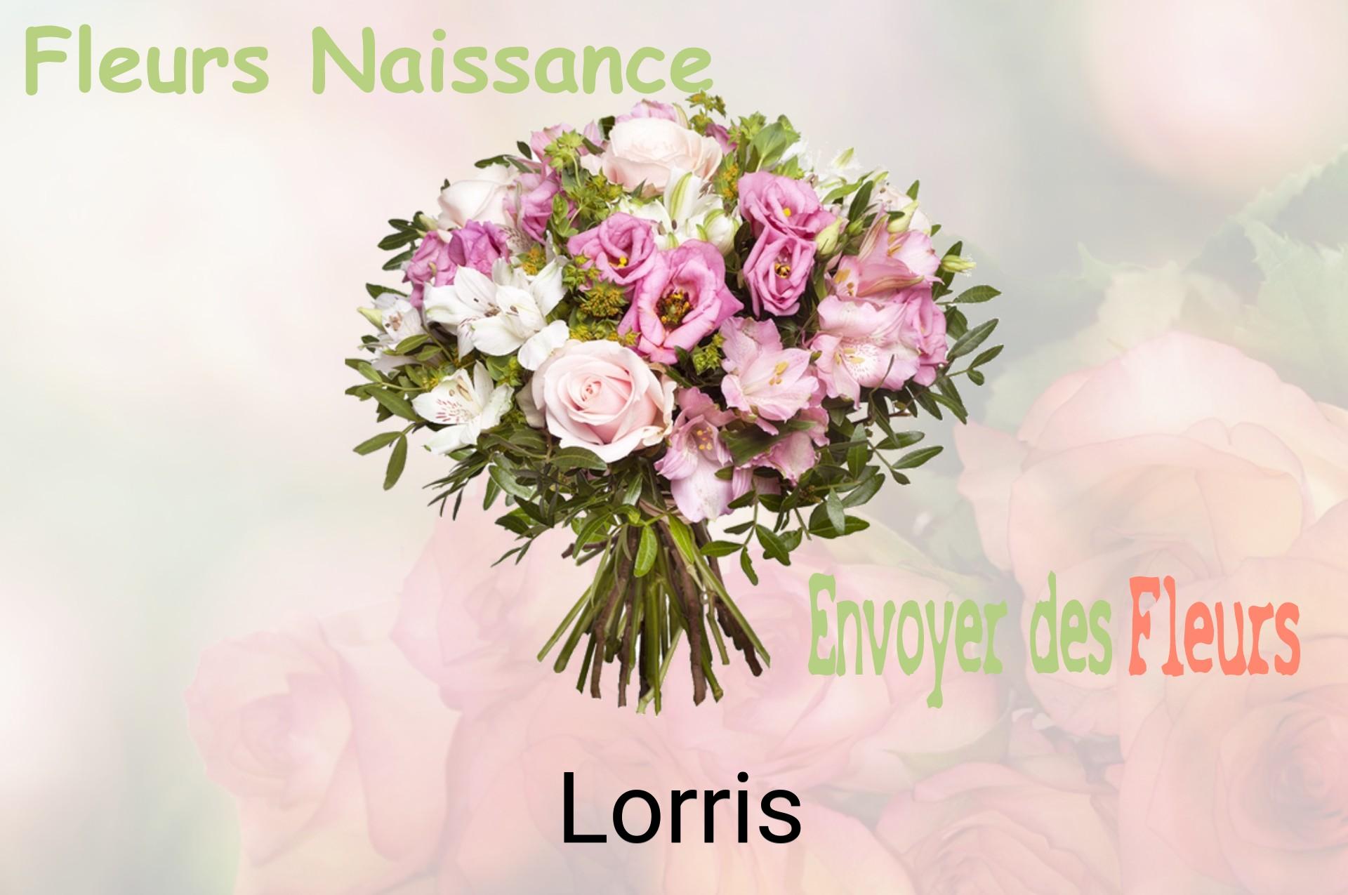 Bouquet de fleurs de naissance livré à Lorris