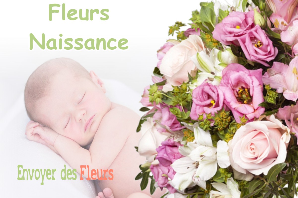 lIVRAISON FLEURS NAISSANCE à LORRIS